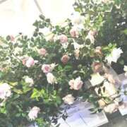 ヒメ日記 2025/12/29 21:16 投稿 カナメ ロボットデリヘル川越基地