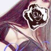 ヒメ日記 2025/03/13 14:21 投稿 おとは ナイトヴィーナス