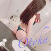 ヒメ日記 2025/09/10 21:01 投稿 おとは ナイトヴィーナス