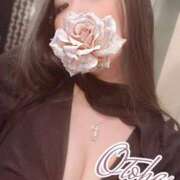 ヒメ日記 2025/11/13 22:01 投稿 おとは ナイトヴィーナス