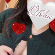 ヒメ日記 2025/12/02 21:02 投稿 おとは ナイトヴィーナス