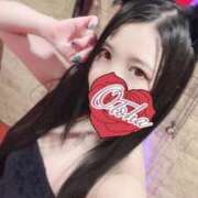 おとは 趣味のお話 ナイトヴィーナス