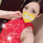 おとは スタートから ナイトヴィーナス