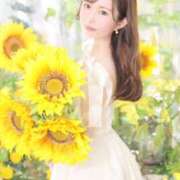 ヒメ日記 2025/07/17 10:04 投稿 さくらこ 神栖レッドダイヤ