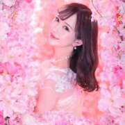 ヒメ日記 2025/12/20 10:48 投稿 さくらこ 神栖レッドダイヤ