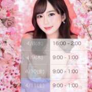 ヒメ日記 2026/04/08 14:02 投稿 さくらこ 神栖レッドダイヤ