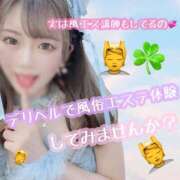 ヒメ日記 2026/08/09 16:31 投稿 さくらこ 神栖レッドダイヤ