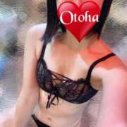 ヒメ日記 2025/01/07 14:05 投稿 おとは C.C.CATS