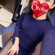 ヒメ日記 2025/01/22 15:06 投稿 おとは C.C.CATS