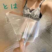 ヒメ日記 2025/02/21 15:46 投稿 おとは C.C.CATS