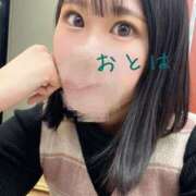 ヒメ日記 2025/02/27 14:07 投稿 おとは C.C.CATS