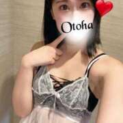 ヒメ日記 2025/03/25 17:28 投稿 おとは C.C.CATS