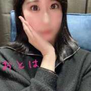 ヒメ日記 2025/03/30 15:07 投稿 おとは C.C.CATS