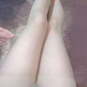 ヒメ日記 2025/03/31 13:46 投稿 おとは C.C.CATS