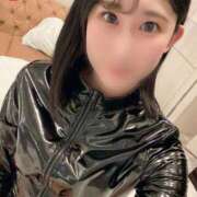 ヒメ日記 2025/04/04 12:06 投稿 おとは C.C.CATS