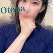 ヒメ日記 2025/04/10 18:26 投稿 おとは C.C.CATS