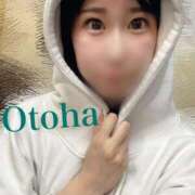 ヒメ日記 2025/04/11 01:26 投稿 おとは C.C.CATS