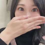 ヒメ日記 2025/04/15 17:06 投稿 おとは C.C.CATS