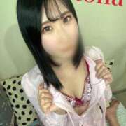 ヒメ日記 2025/04/15 18:26 投稿 おとは C.C.CATS