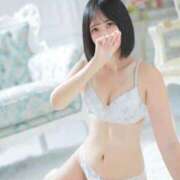 ヒメ日記 2025/04/17 23:26 投稿 おとは C.C.CATS