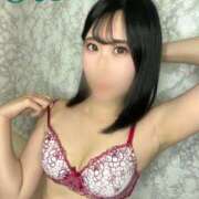 ヒメ日記 2025/05/30 13:41 投稿 おとは C.C.CATS