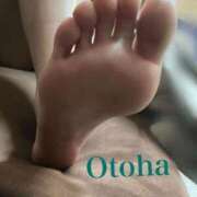 ヒメ日記 2025/06/08 22:02 投稿 おとは C.C.CATS