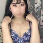 ヒメ日記 2025/06/21 22:02 投稿 おとは C.C.CATS