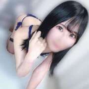 ヒメ日記 2025/06/26 14:41 投稿 おとは C.C.CATS