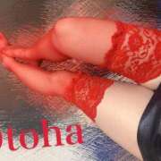 ヒメ日記 2025/07/25 18:02 投稿 おとは C.C.CATS