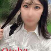 ヒメ日記 2025/09/11 23:21 投稿 おとは C.C.CATS