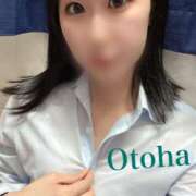 ヒメ日記 2025/09/12 13:01 投稿 おとは C.C.CATS