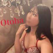 ヒメ日記 2025/09/13 03:41 投稿 おとは C.C.CATS