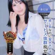 ヒメ日記 2025/09/29 21:41 投稿 おとは C.C.CATS