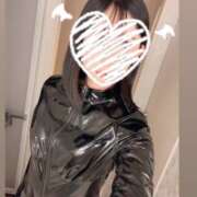 ヒメ日記 2025/10/05 03:41 投稿 おとは C.C.CATS