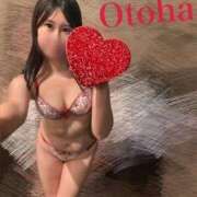 ヒメ日記 2025/10/15 17:21 投稿 おとは C.C.CATS