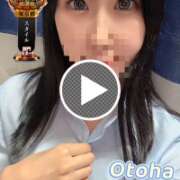 ヒメ日記 2025/10/23 23:21 投稿 おとは C.C.CATS