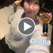 ヒメ日記 2025/10/25 18:41 投稿 おとは C.C.CATS