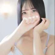 ヒメ日記 2025/11/04 16:41 投稿 おとは C.C.CATS