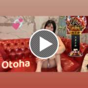 ヒメ日記 2025/11/08 00:42 投稿 おとは C.C.CATS