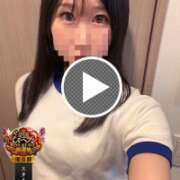 ヒメ日記 2025/11/12 19:22 投稿 おとは C.C.CATS