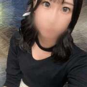 ヒメ日記 2025/11/18 17:22 投稿 おとは C.C.CATS