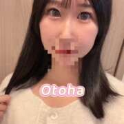 ヒメ日記 2025/11/24 19:02 投稿 おとは C.C.CATS