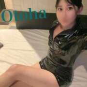 ヒメ日記 2025/11/27 12:42 投稿 おとは C.C.CATS