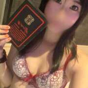 ヒメ日記 2025/11/27 19:03 投稿 おとは C.C.CATS