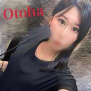 ヒメ日記 2025/11/29 02:21 投稿 おとは C.C.CATS