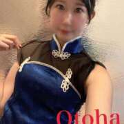 ヒメ日記 2025/11/29 20:02 投稿 おとは C.C.CATS