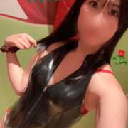 ヒメ日記 2025/11/29 21:42 投稿 おとは C.C.CATS