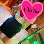 ヒメ日記 2025/12/13 19:42 投稿 おとは C.C.CATS