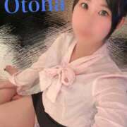 ヒメ日記 2025/12/17 19:42 投稿 おとは C.C.CATS