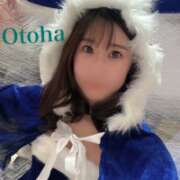 ヒメ日記 2025/12/23 21:42 投稿 おとは C.C.CATS